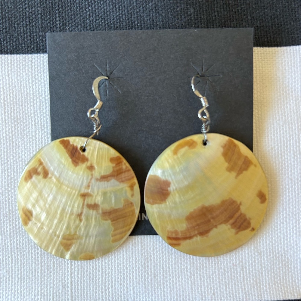 Abalone shell earrings
